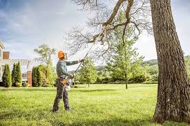 James City, NC Tree Removal and Landscaping Services Company